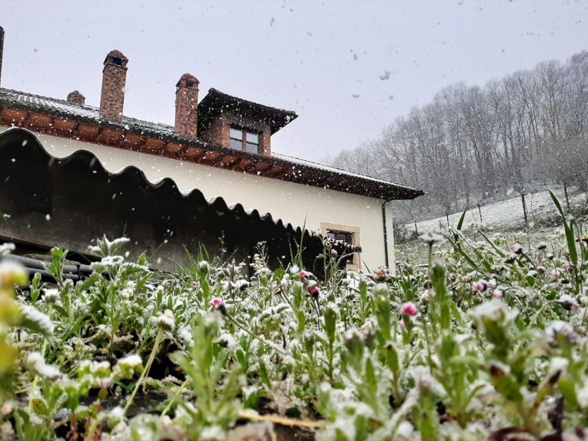 Hotel Rural El Rexacu Bobia de Arriba Exteriör bild